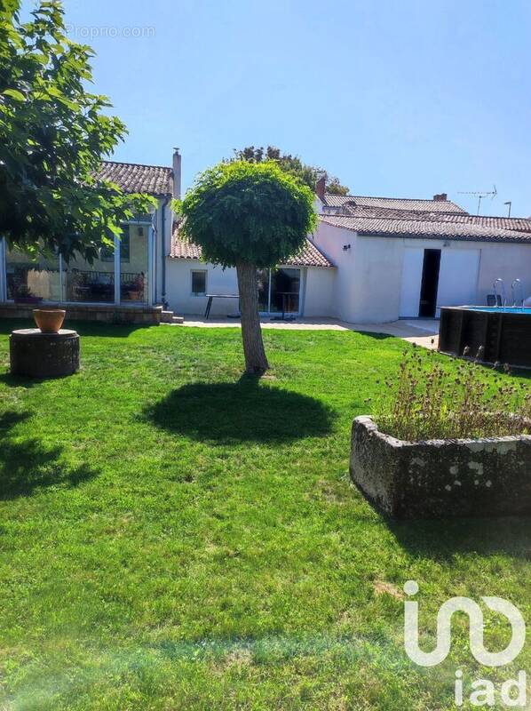 Photo 1 - Maison à MARANS