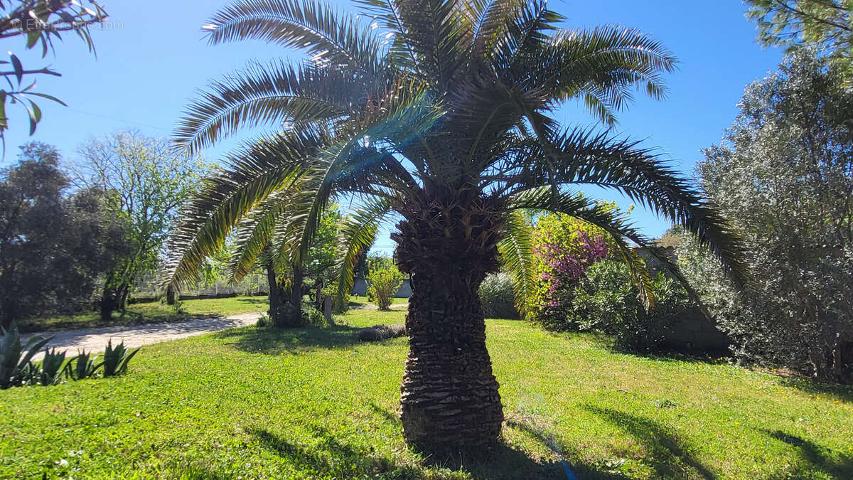 Maison à LA CALMETTE