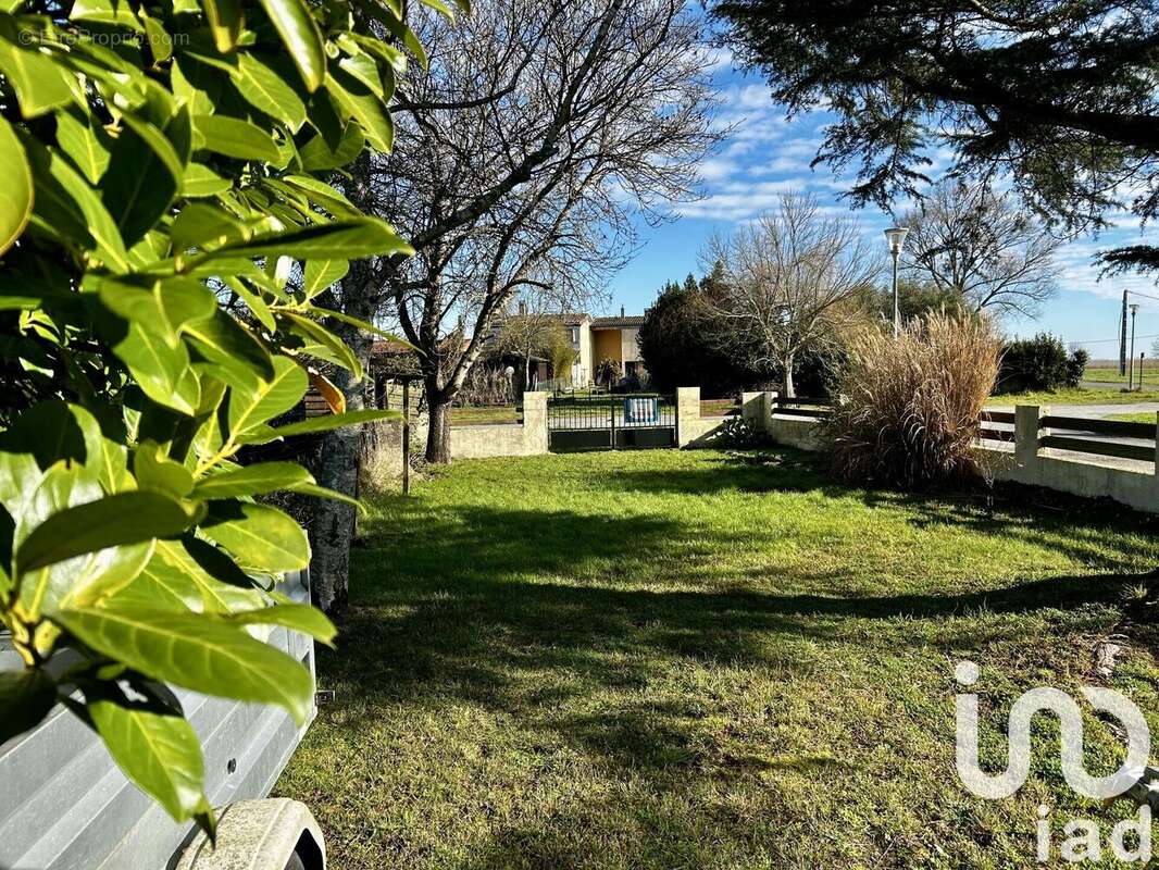 Photo 7 - Maison à SAINT-ESTEPHE