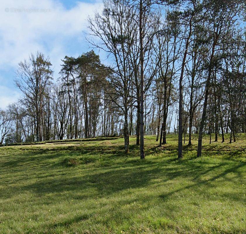 Terrain à MONTIGNAC