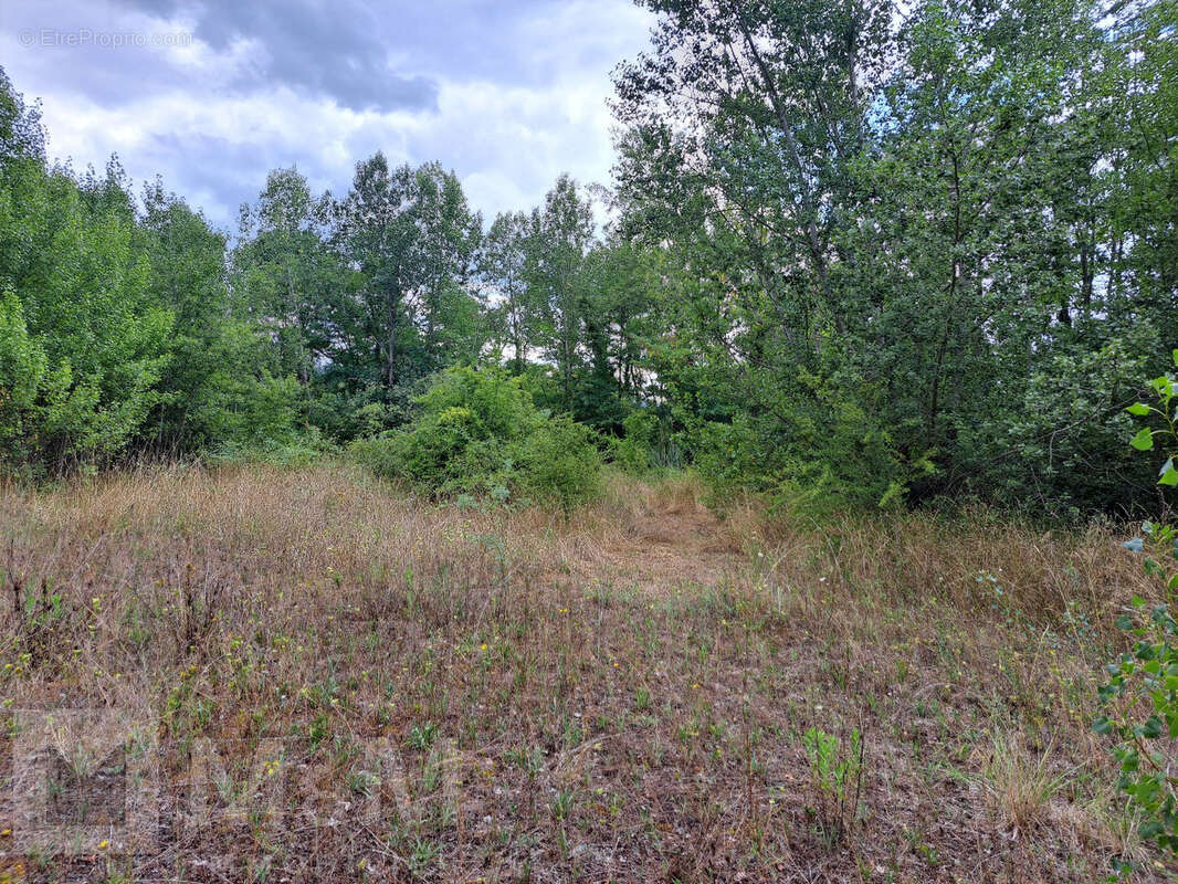 Grand Terrain Constructible - photo 7