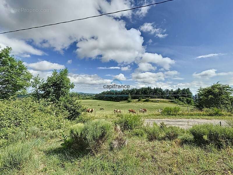 Maison à FREYSSENET
