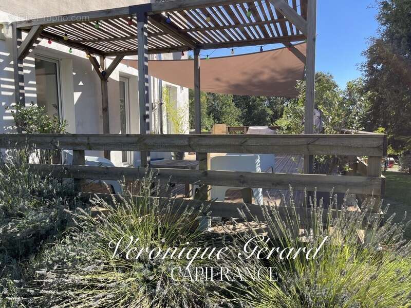 Maison à ORIGNOLLES