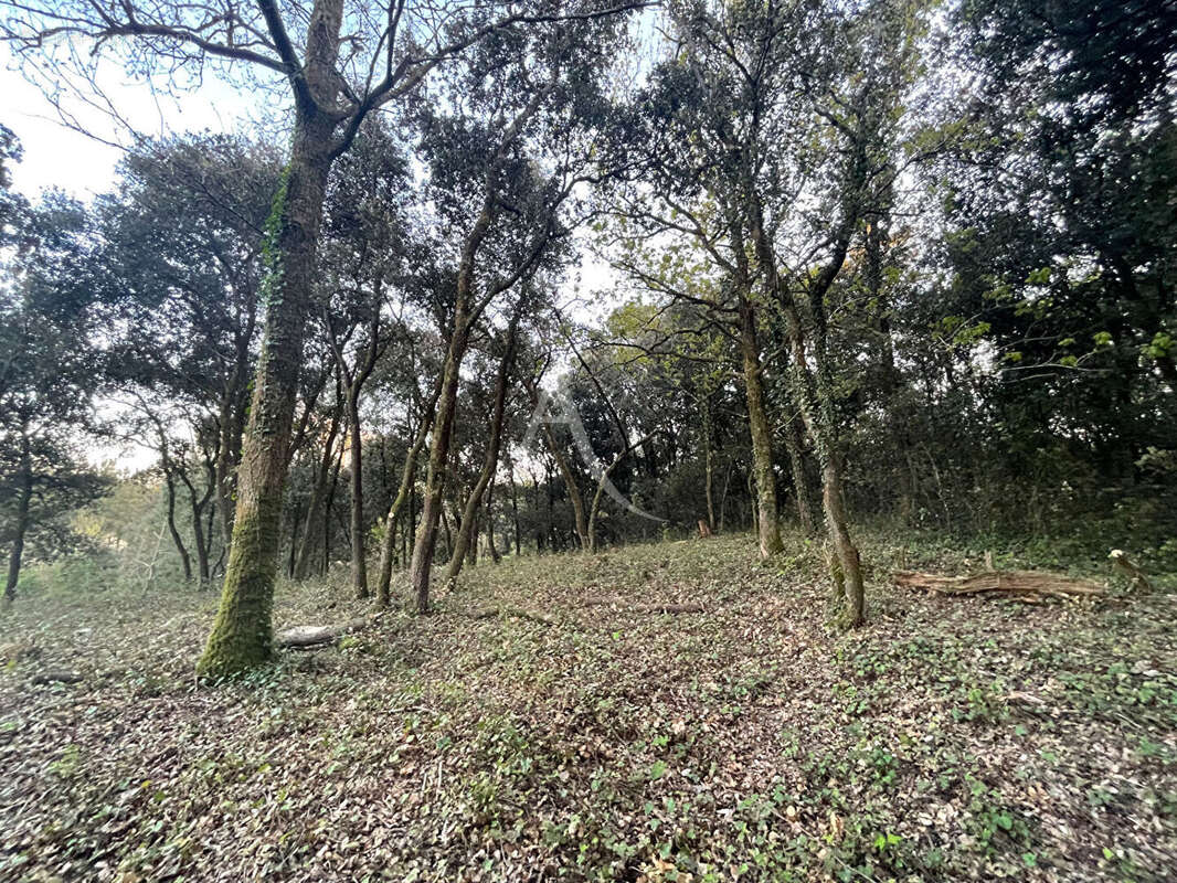 Terrain à LONGEVILLE-SUR-MER