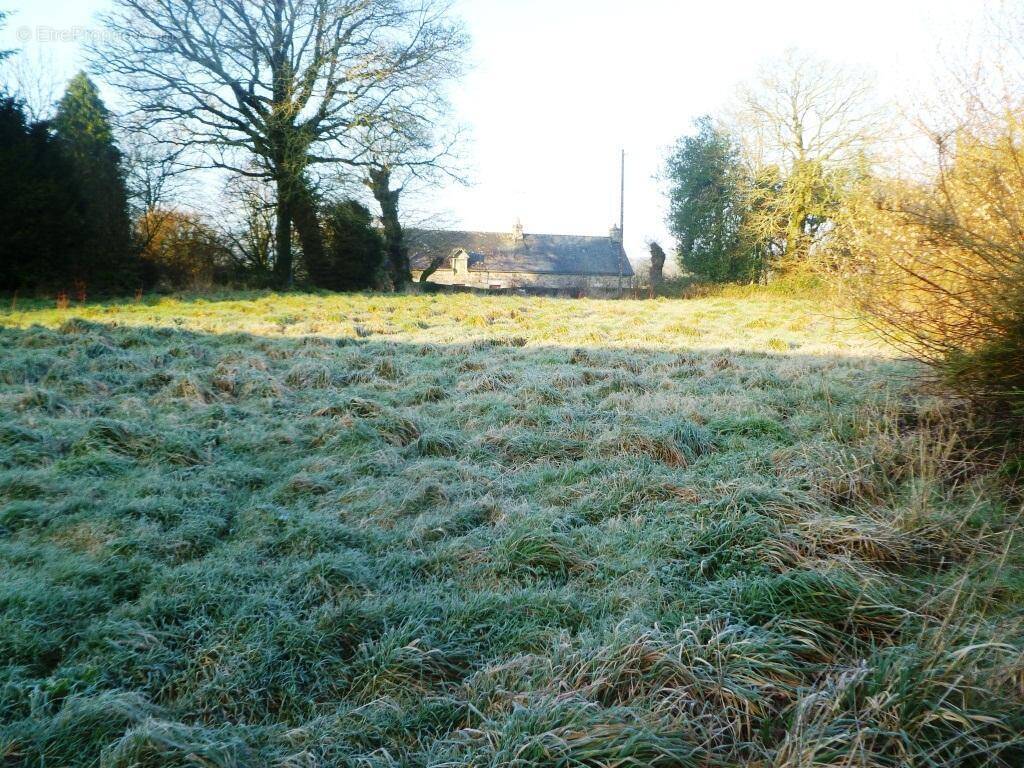 Terrain à LANGOELAN
