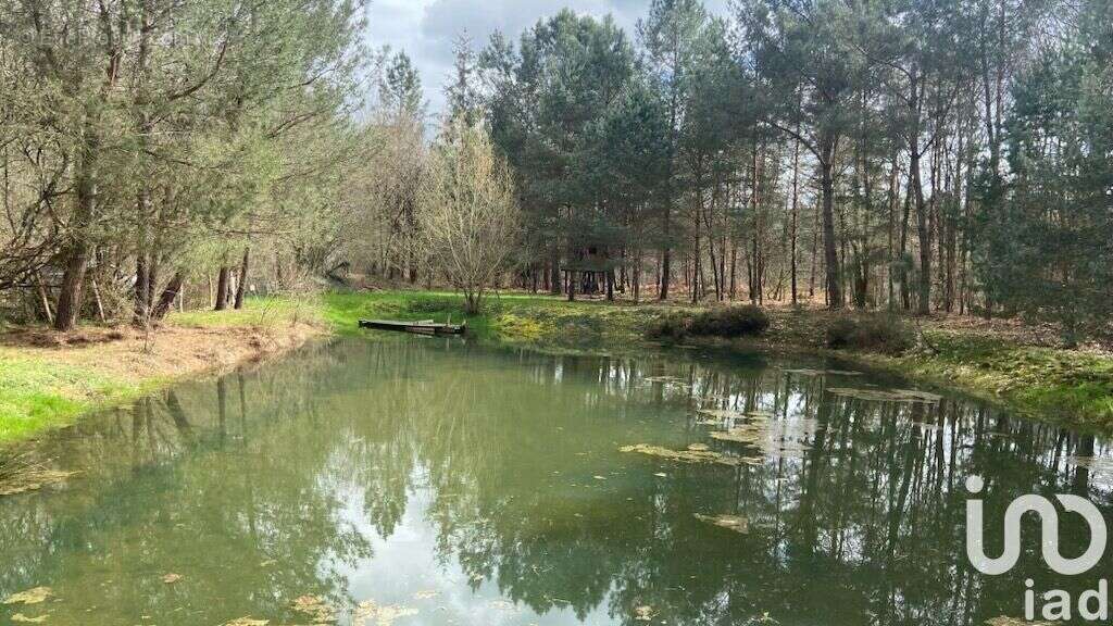 Photo 3 - Terrain à BAUGE