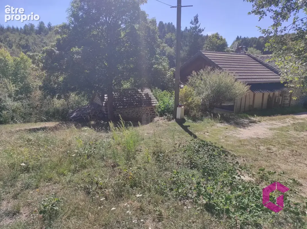 Ancienne ferme en pierres rénovée sur grand terrain. - photo 25