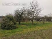 Terrain à PRUNIERS-EN-SOLOGNE