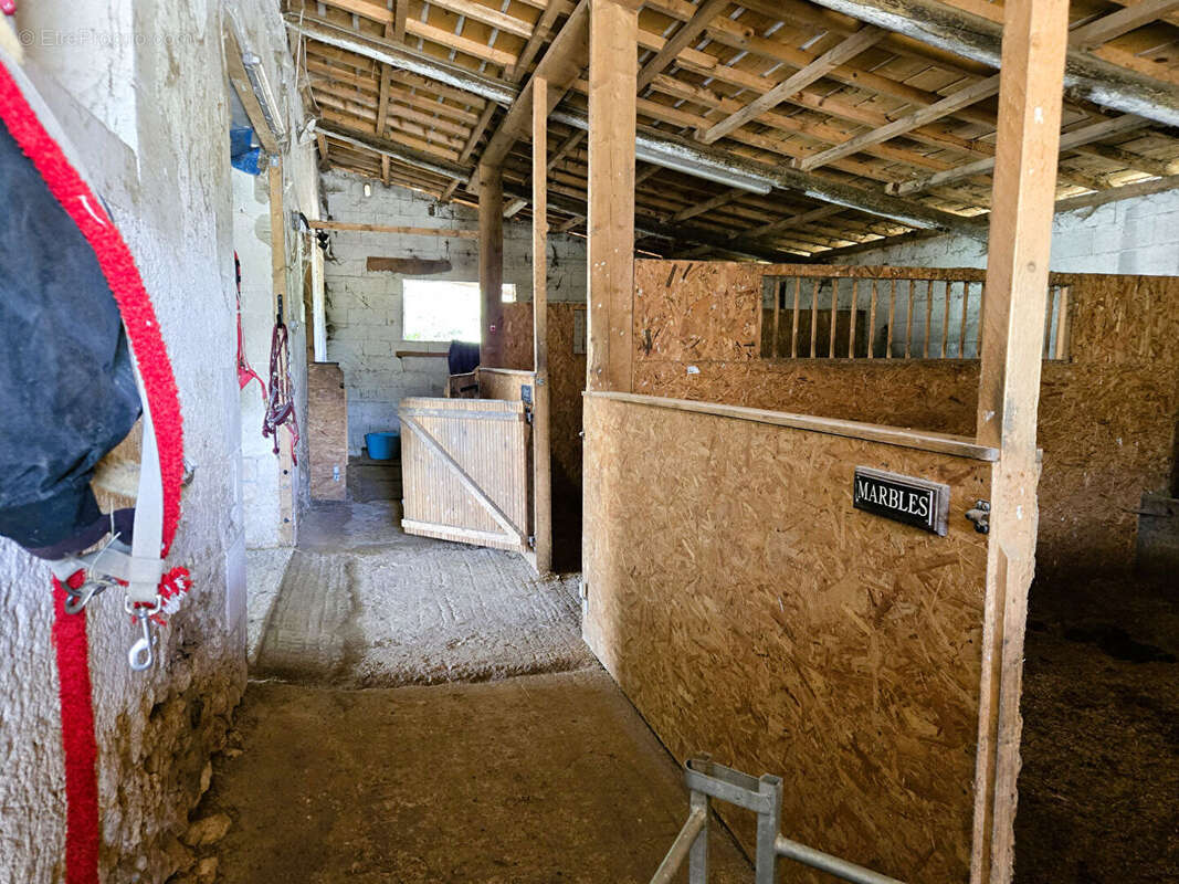 VIENNE : Ferme Rénovée de 5 Chambres avec Piscine, Installations Équestres & 4,32 ha près de Chauvigny - photo 15