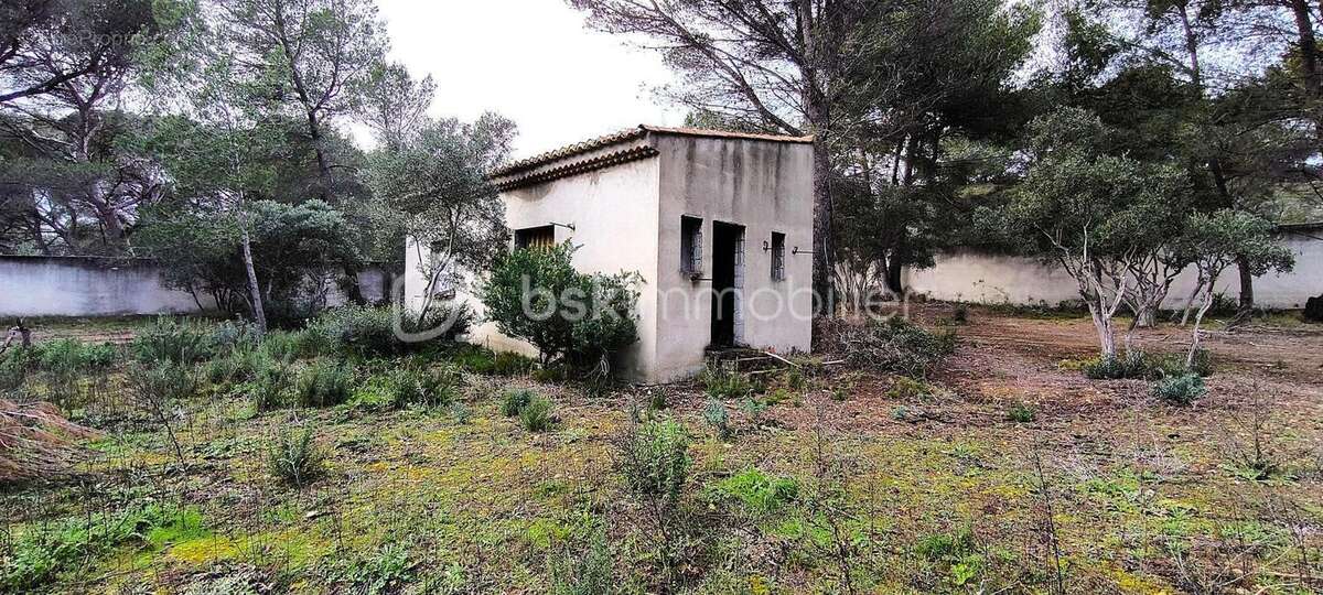 Magnifique maison sur une grande parcelle avec une dépendance et un garage , au bord  de la plage de l'étang de Berre , sur Sain - photo 5