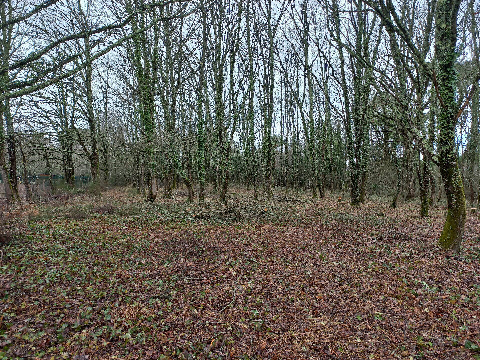 Terrain à SAINT-MEDARD-DE-MUSSIDAN