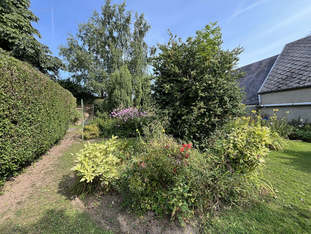 Maison à FRIVILLE-ESCARBOTIN