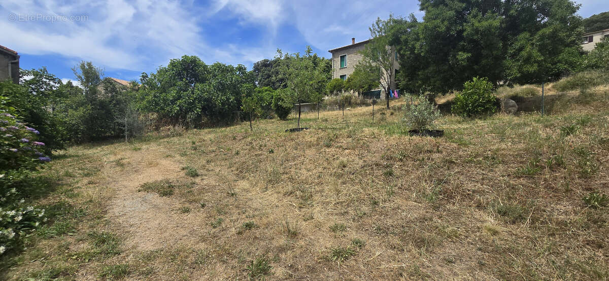 Villa  au calme Petreto Bicchisano - photo 15