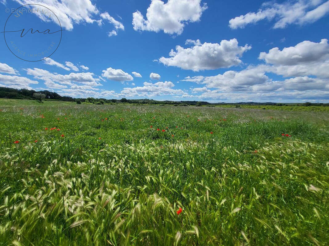 Terrain à CAUX