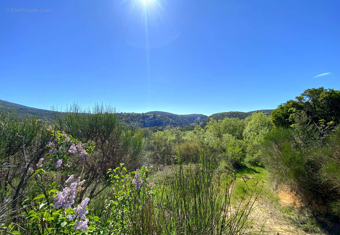 Proche vaison - maison + 2 gîtes avec vue et piscine - photo 6