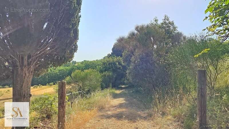 Domaine de caractère de 304 m² sur plus de 60 hectares d’un seul tenant – Entre nature, élégance et art de vivre - photo 18
