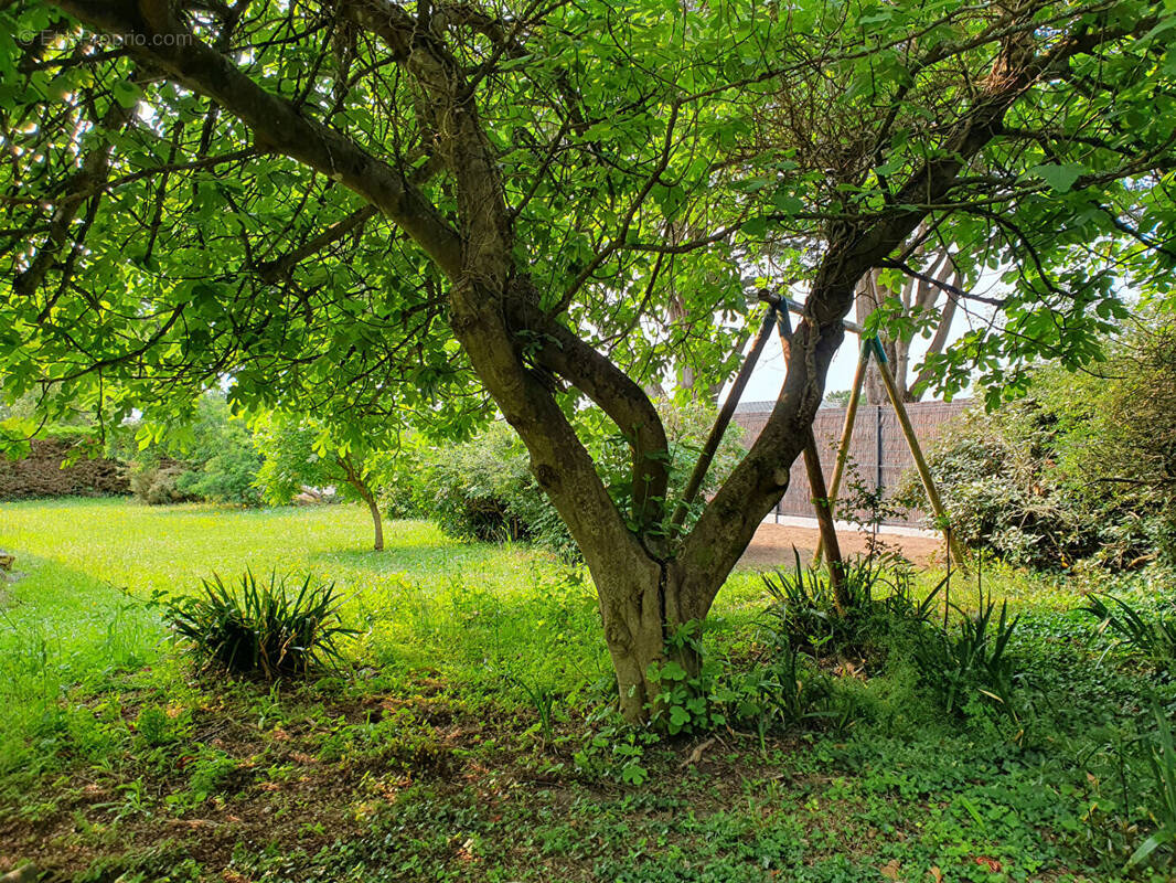 Maison à LOCMARIAQUER