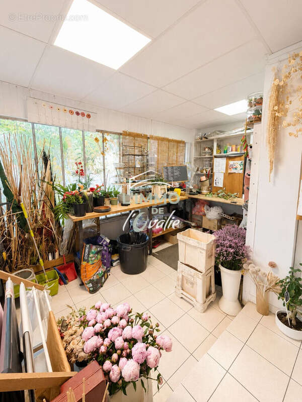 Local commercial 73m2 Fenouillet- Emplacement Ideal - photo 4