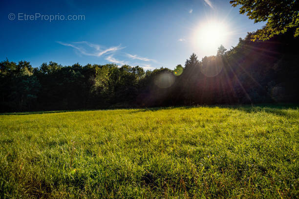 Terrain à SAINT-JEAN-D'ILLAC