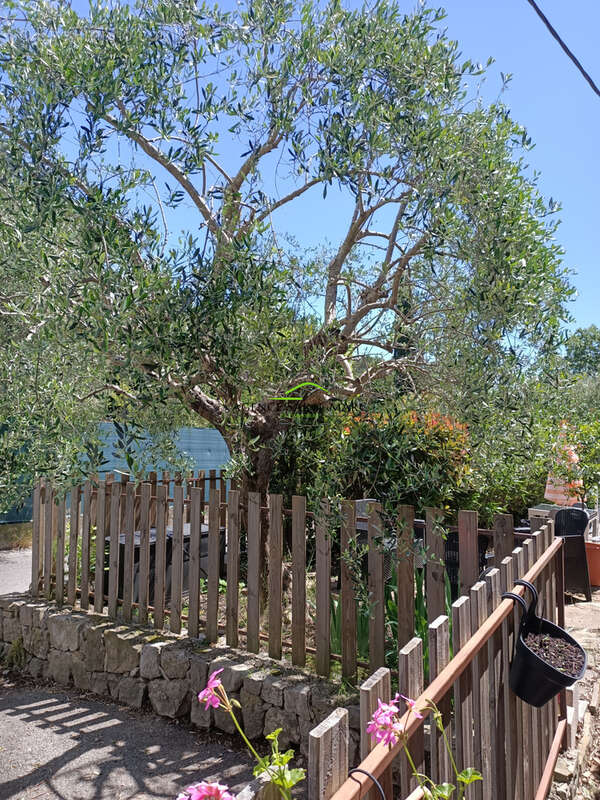 Maison à LE TIGNET