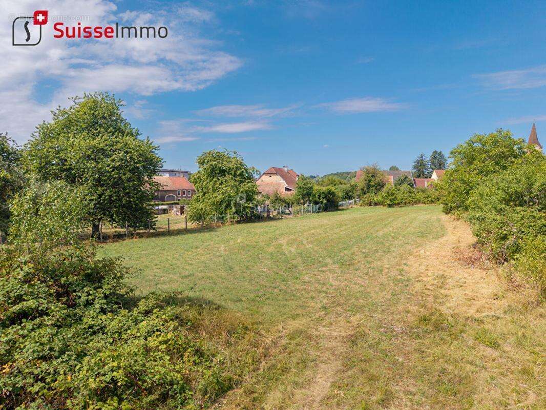 Rare à la vente : terrain constructible 33,5 ares centre de Grand-Charmont - photo 2