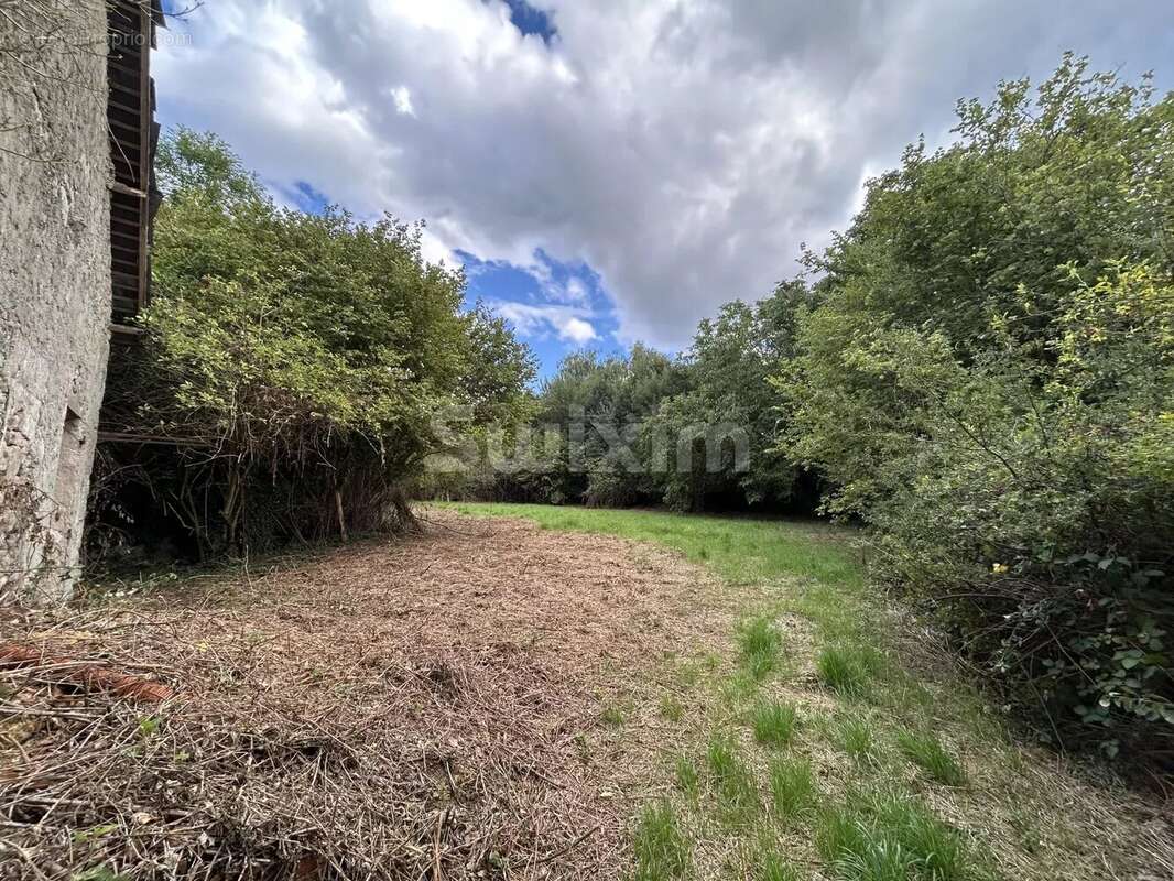 Terrain à QUARRE-LES-TOMBES