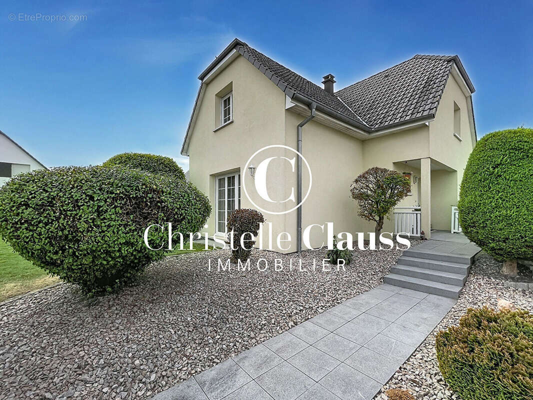 Maison d'architecte de 137 m² sur 10,50 ares ? Bartenheim (68870) - photo 5
