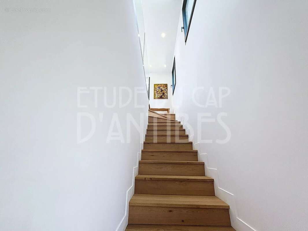 Cap d'Antibes  Versant Ouest - photo 7
