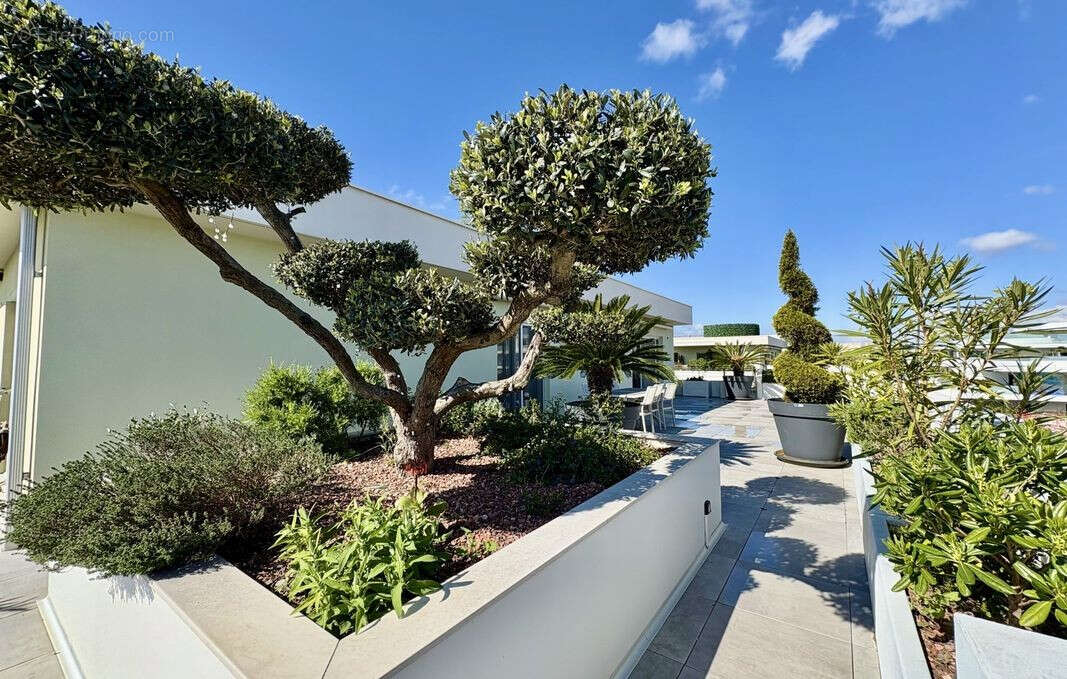 Appartement à NARBONNE