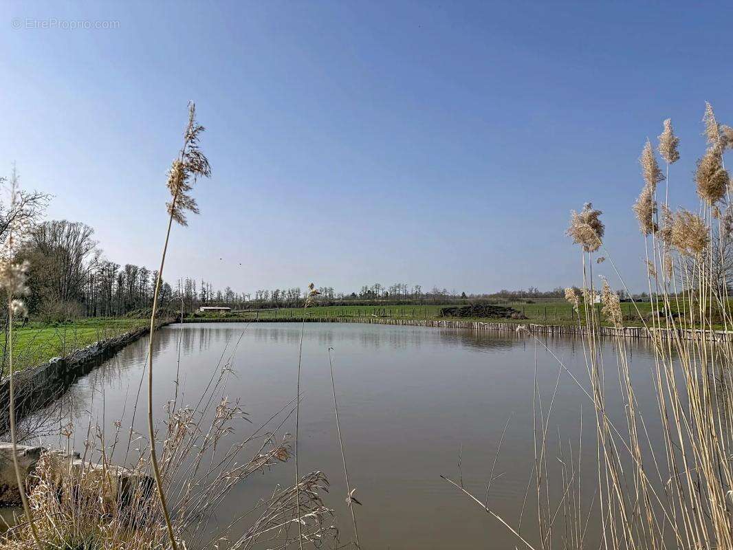 Maison à HERBITZHEIM