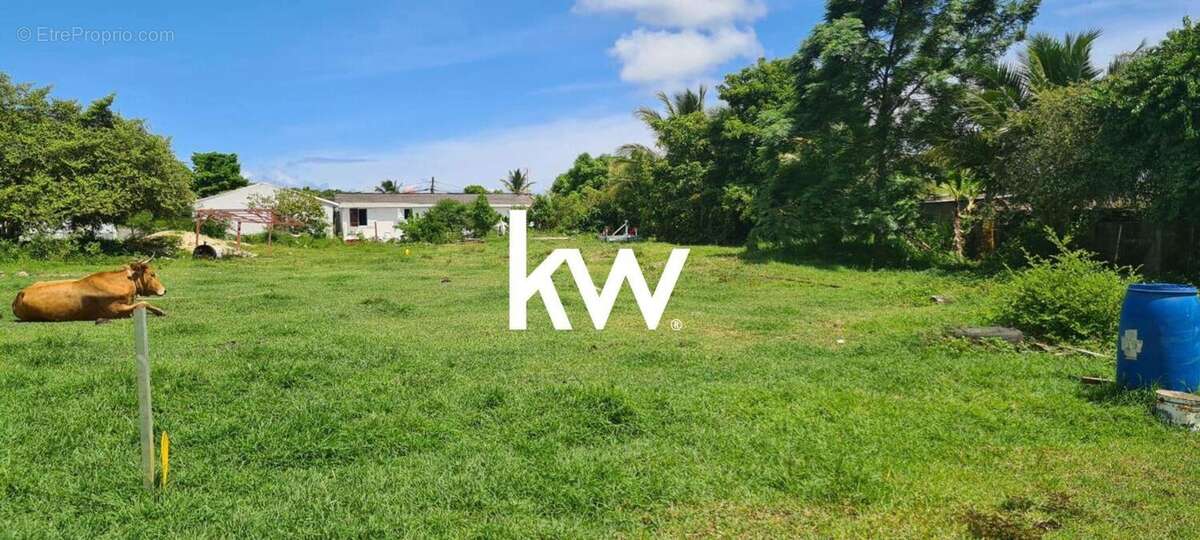 Terrain à SAINT-FRANCOIS