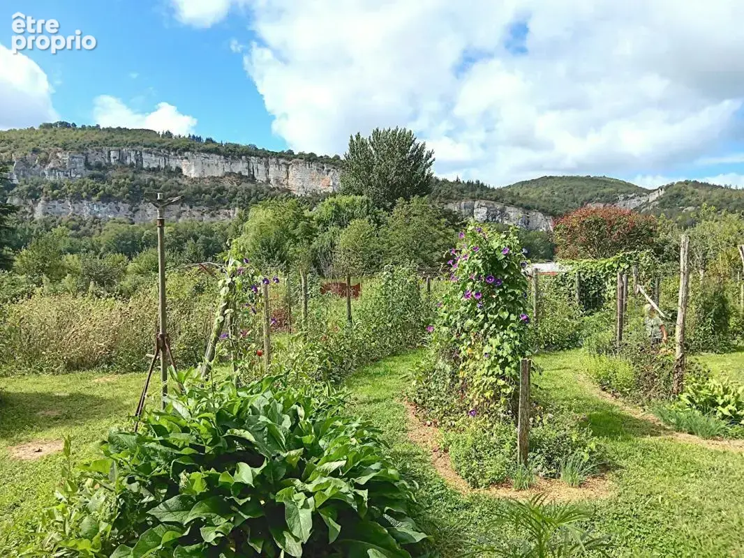 Ferme maraîchère avec gîtes, retaurant et point de vente - photo 18