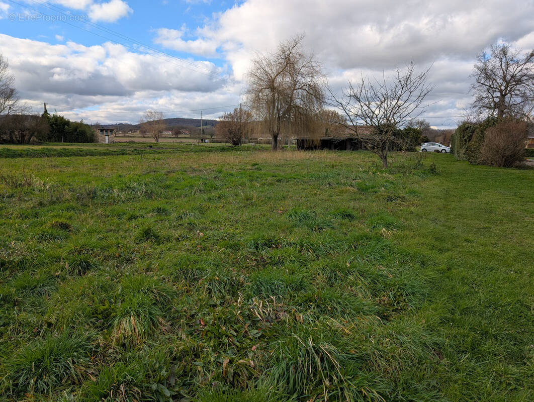 Terrain à MARTRES-TOLOSANE