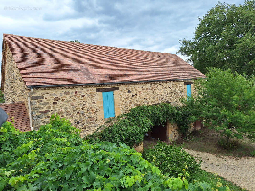 Maison à SALLES-DE-BELVES
