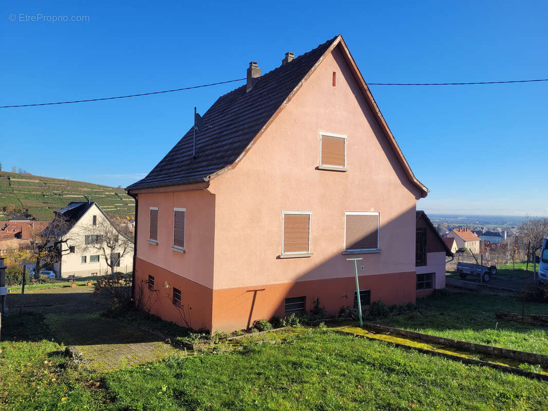 Maison à RIBEAUVILLE