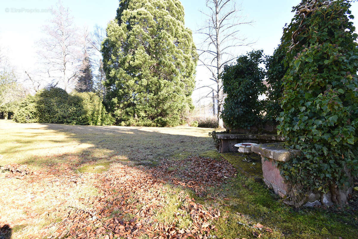 Appartement à SAINT-DIE-DES-VOSGES