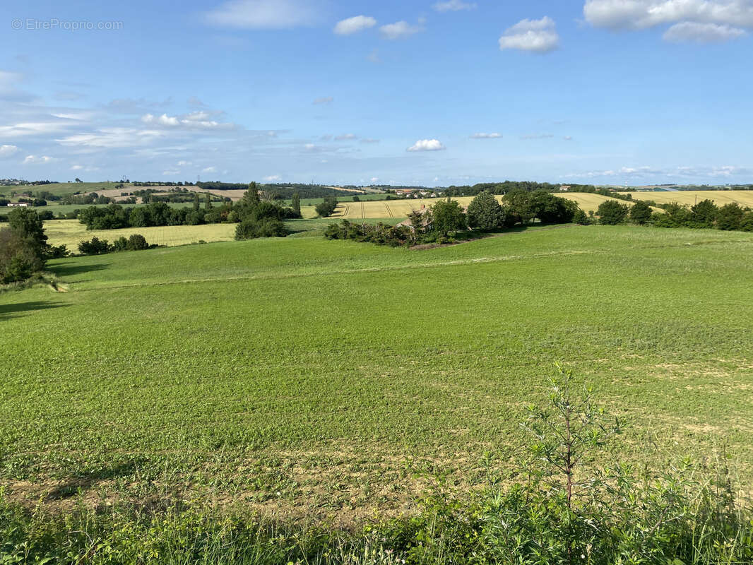Terrain à LABASTIDE-BEAUVOIR