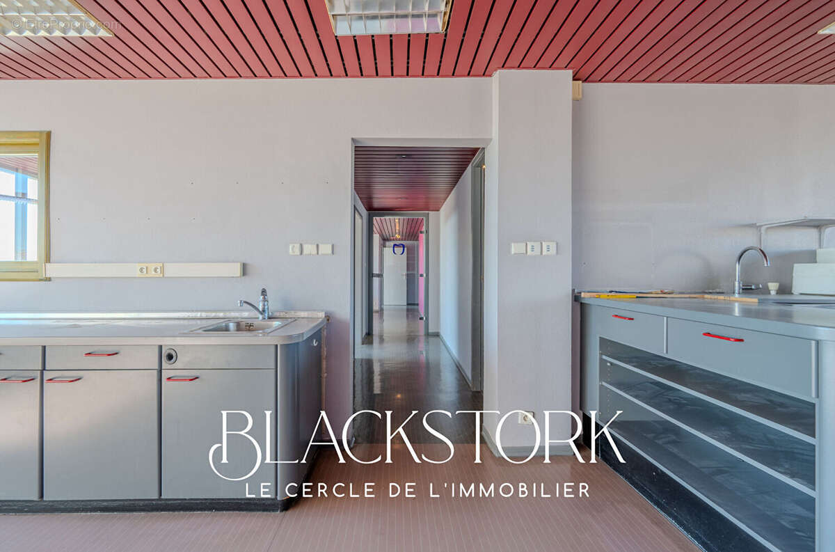Local professionnel - strasbourg roberstau - vue degagee - photo 10