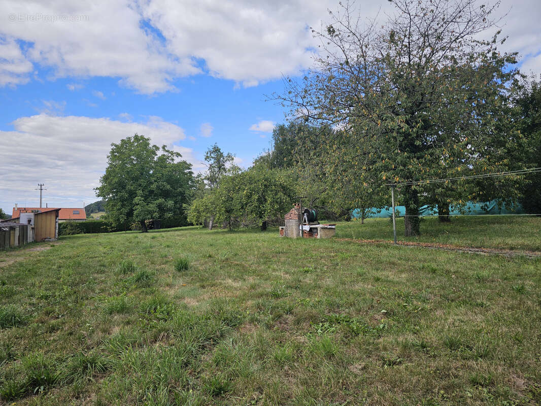 Maison individuelle sur 37 ares de terrain arbore proche frontiere belge - photo 5