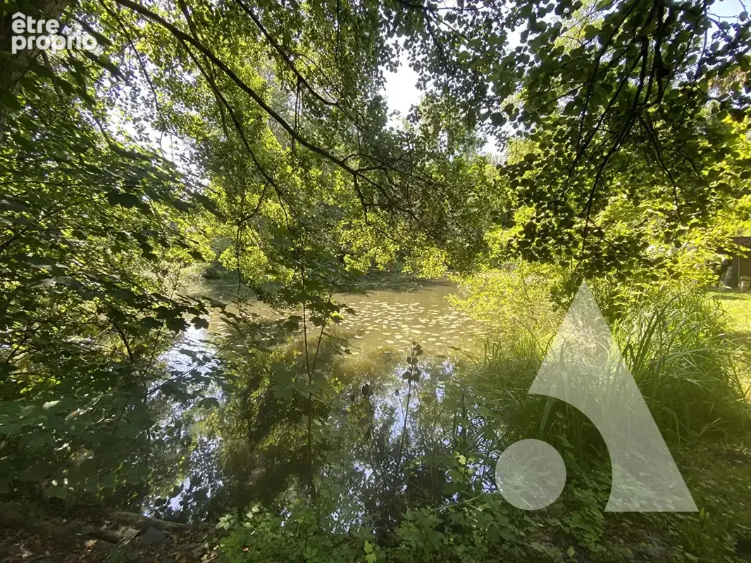 A vendre etang 3 040m² - photo 4