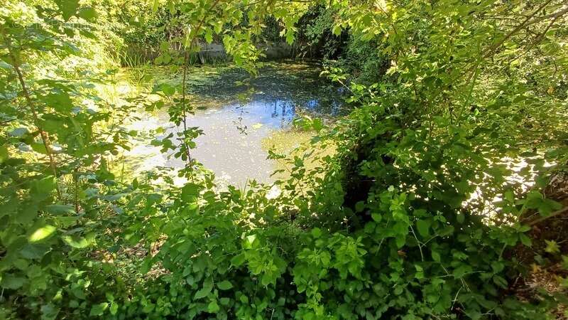Propriete/Gites 6 hectares, Proche de THENON (24) - photo 11