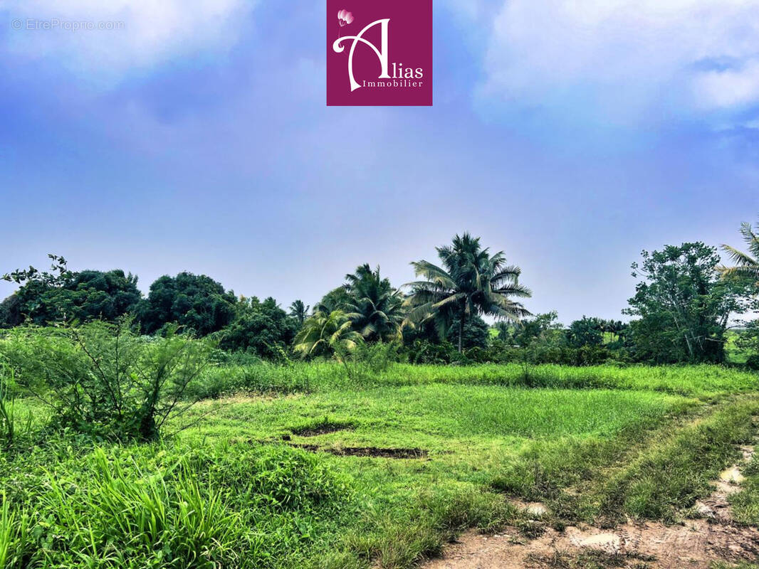 Autre à SAINTE-ROSE