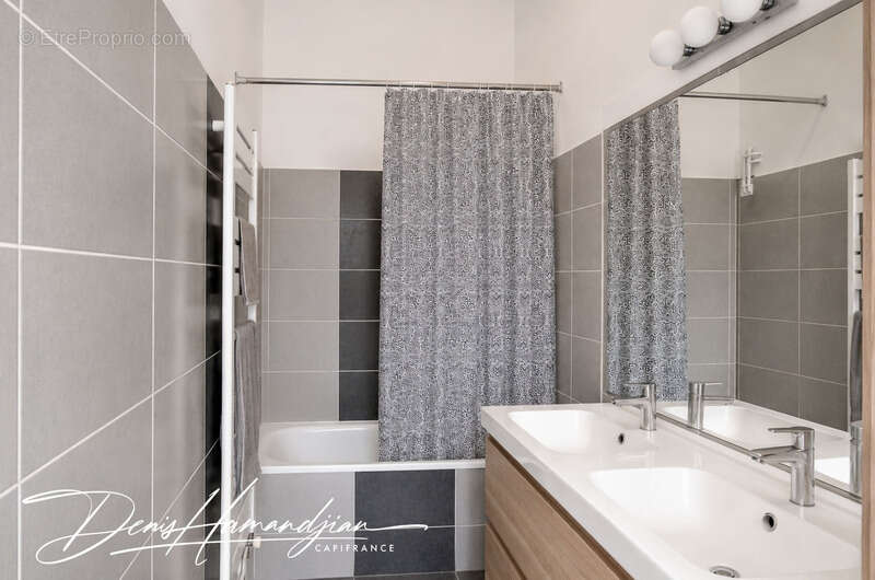 Appartement à vendre 3 pièces NEUVILLE SUR SAONE (69) - photo 5
