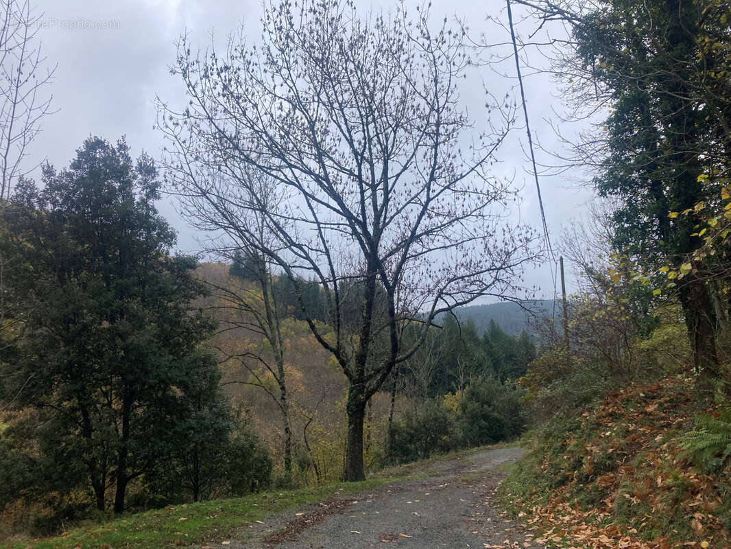 Maison à FERRALS-LES-MONTAGNES