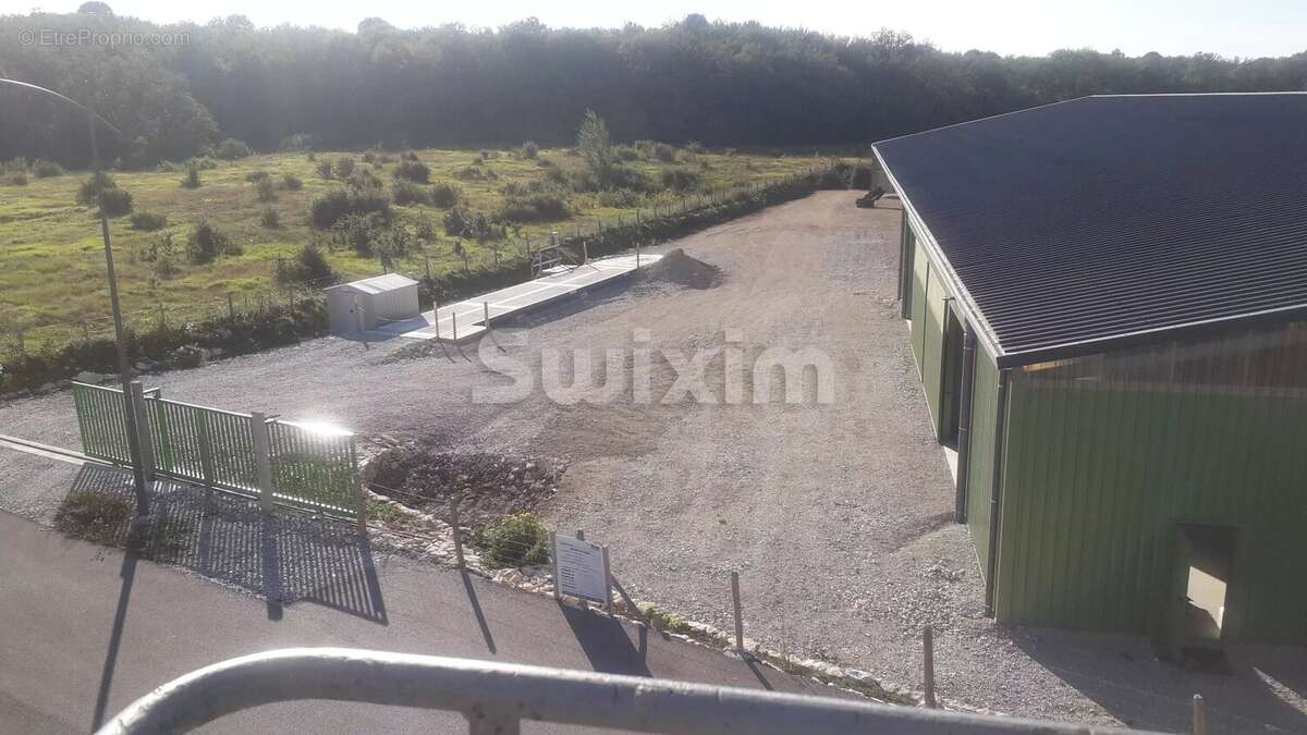 Commerce à CHAMPAGNOLE