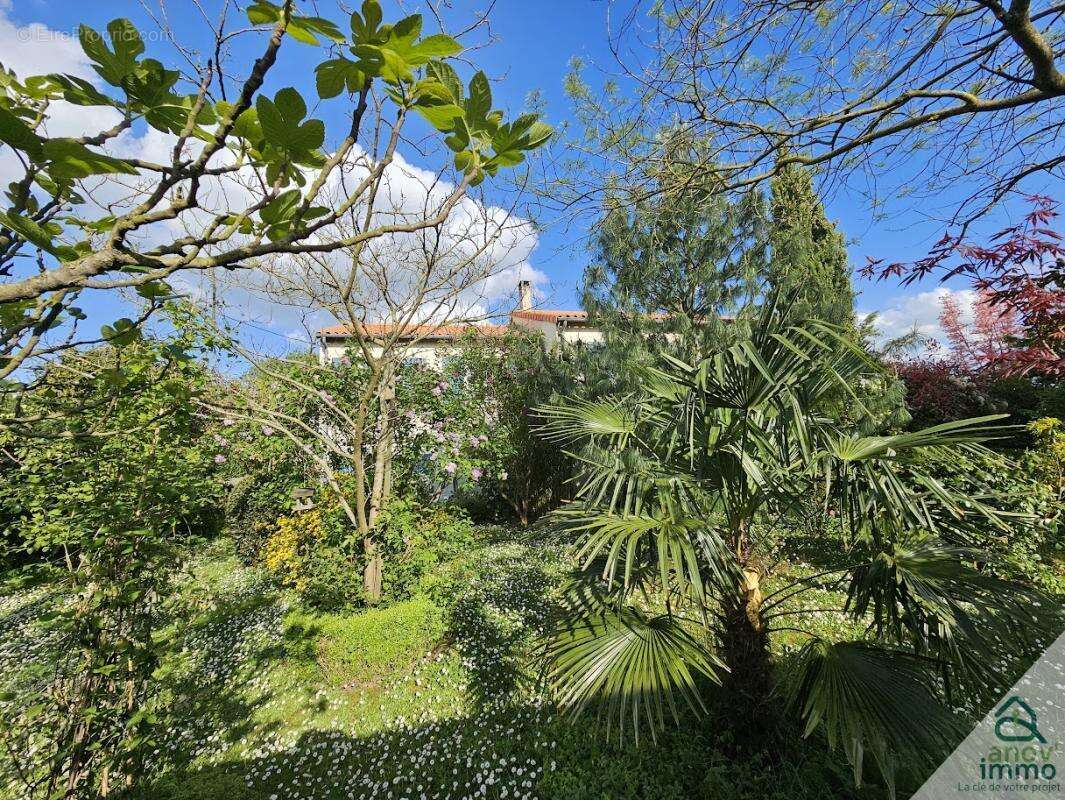 Maison à SAINT-JEAN-DE-THOUARS