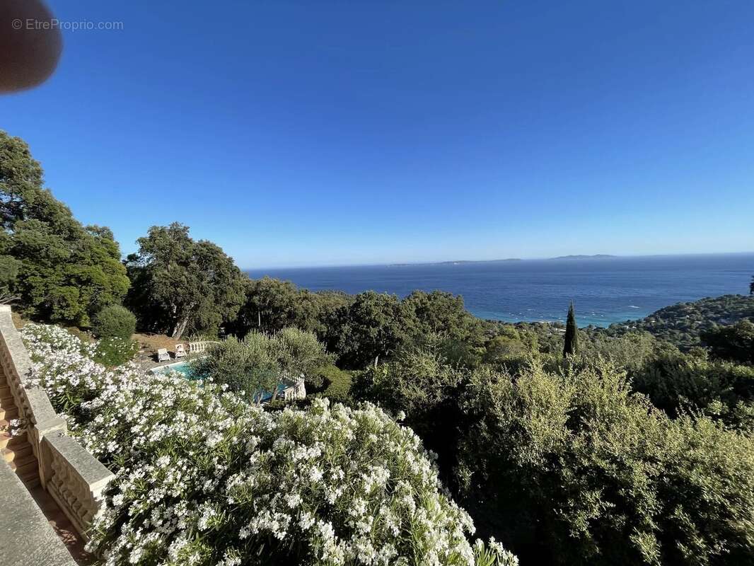 Maison à SAINT-TROPEZ