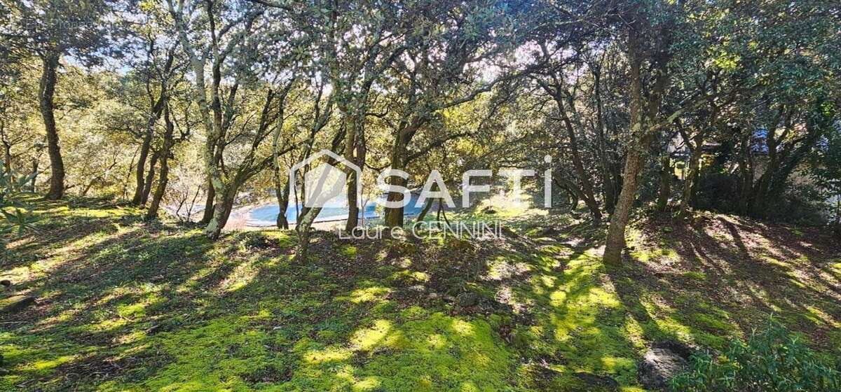 Photo 6 - Maison à SUZE-LA-ROUSSE