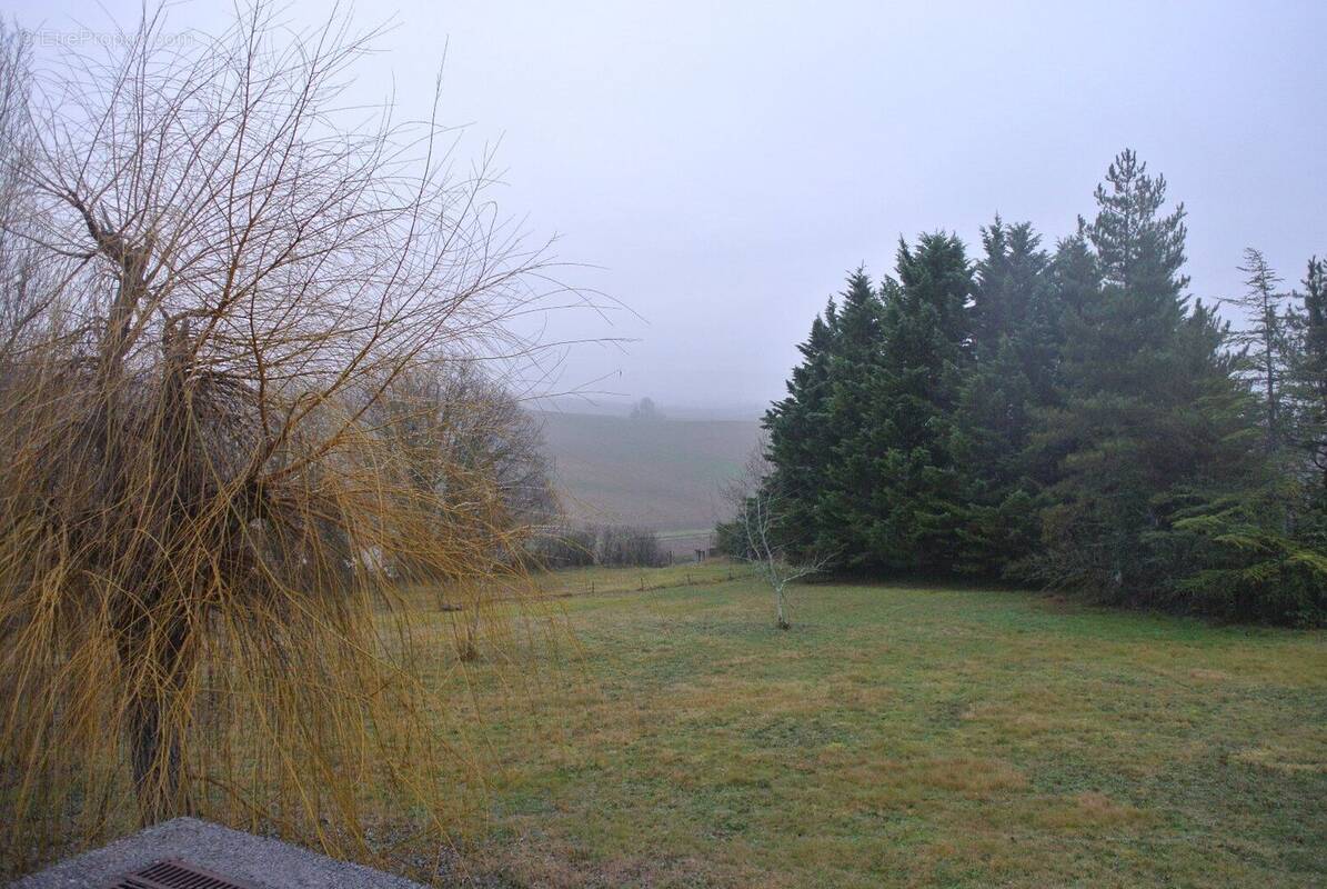 Photo 1 - Terrain à BELLEGARDE-SAINTE-MARIE