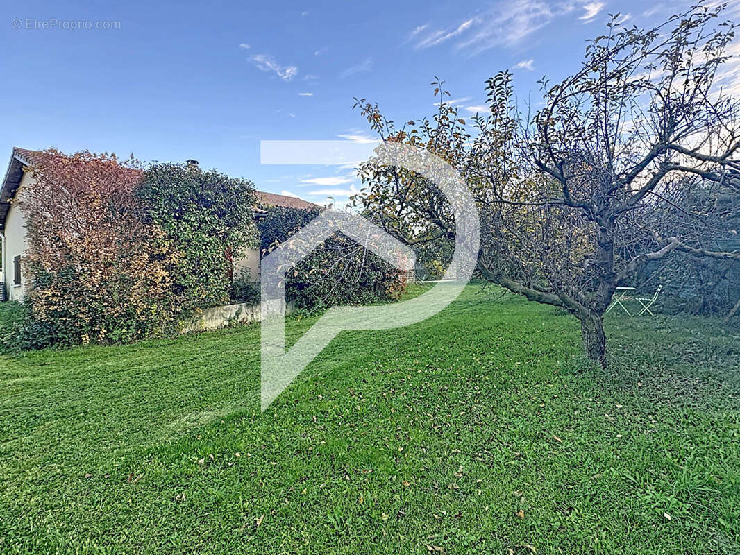 Maison à MONTELIMAR